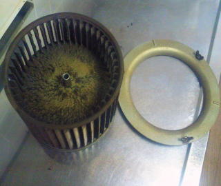 ���Ńx�g�x�g�̃V���b�R�t�@��