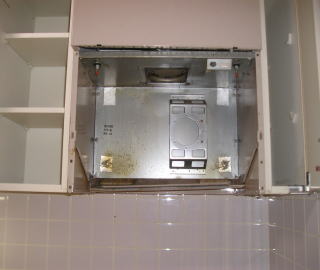 �����W�t�[�h���𐴑|