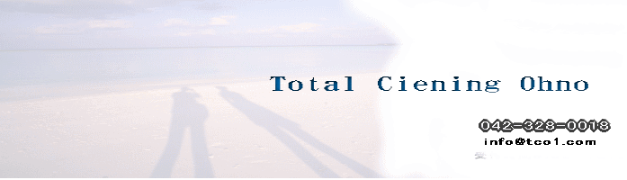 �n�E�X�N���[�j���O���X�@�n�E�X�N���[�j���O�̓g�[�^���N���[�j���O���ɂ��C�����������B