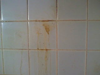 �L�b�`���^�C���̖�