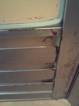 �������̐��C