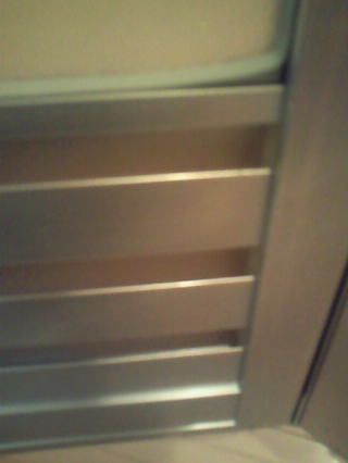 �����C�̔��̐��C