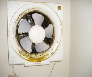 ���Ńx�g�x�g�̊��C��