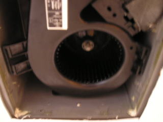 �g�C���̊��C��